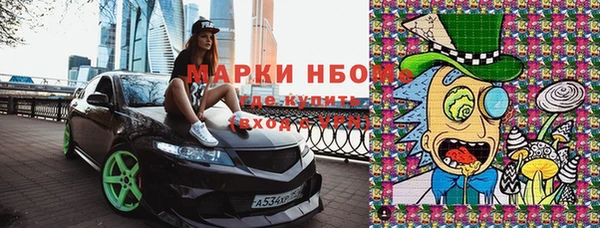 метадон Богданович