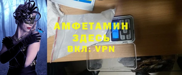 метадон Богданович
