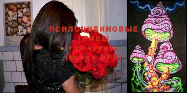 дмт Богородск
