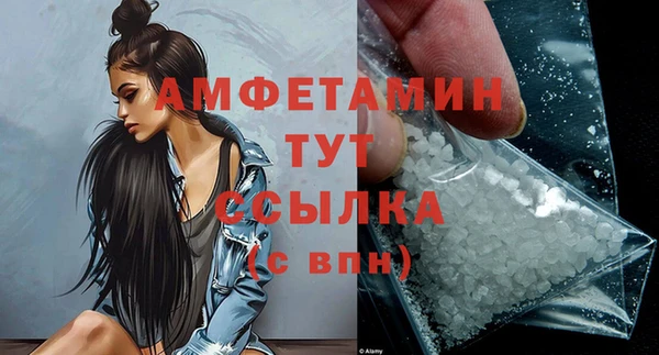 метадон Богданович