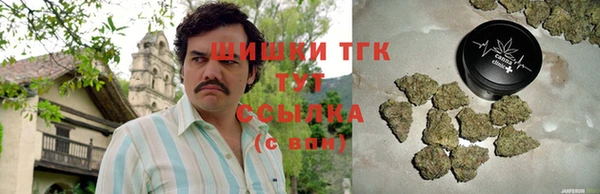 дмт Богородск