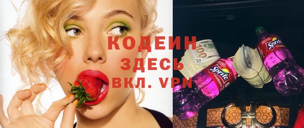 метадон Богданович