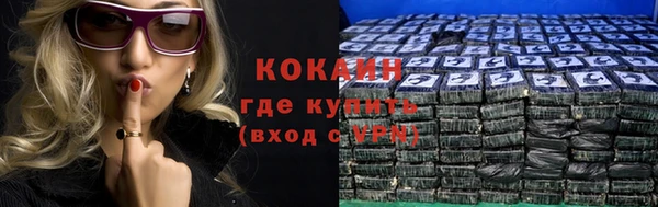 стаф Бородино