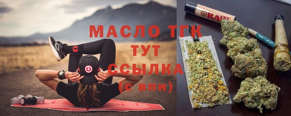 метадон Богданович