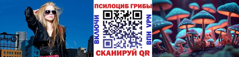 Псилоцибиновые грибы Magic Shrooms  Купить закладки  Красный Сулин 