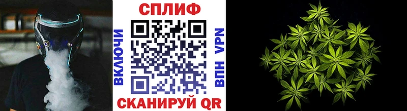 Купить где  Красный Сулин  Марихуана сатива 